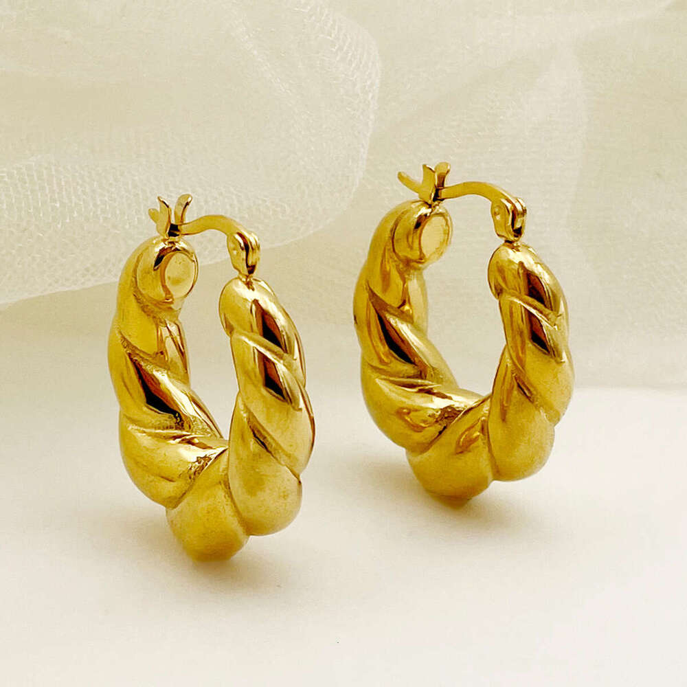 Double Strand Solid Horn Bag Internet Celebrity Style Gold-Plated Titanium Steel Braided Earrings