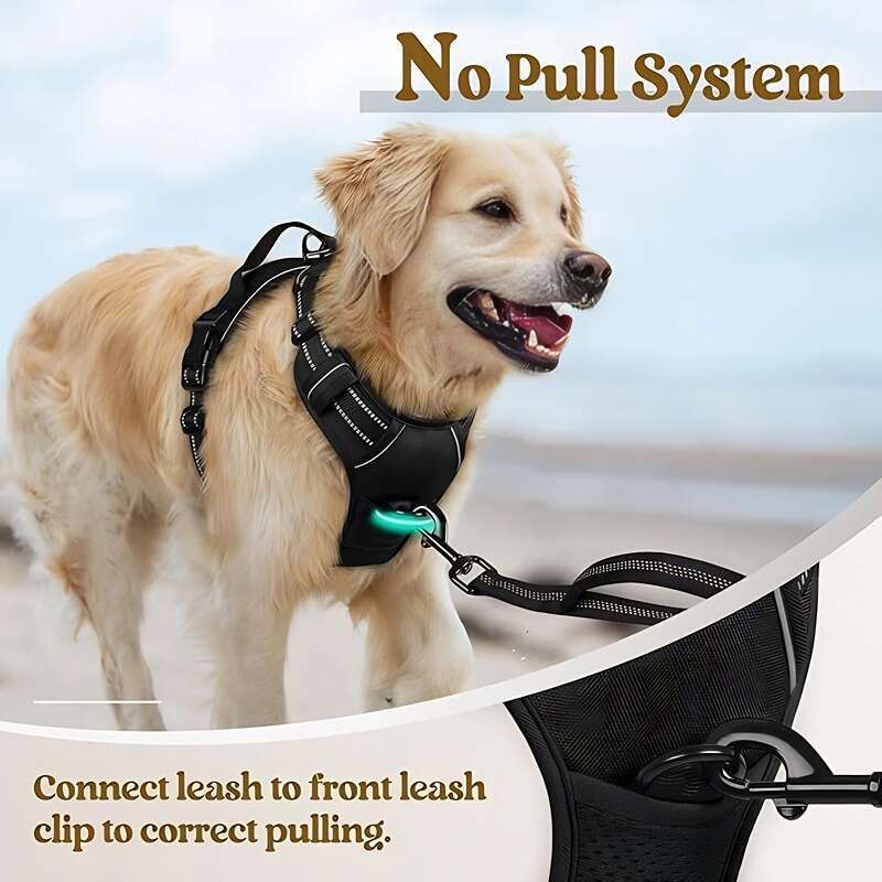 Nylon Leash Large Dog Harness Pet Supplies
