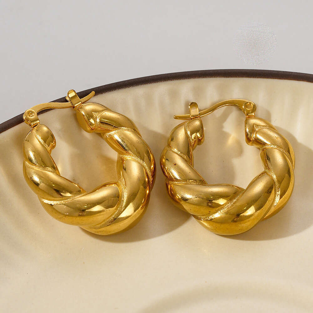 Double Strand Solid Horn Bag Internet Celebrity Style Gold-Plated Titanium Steel Braided Earrings