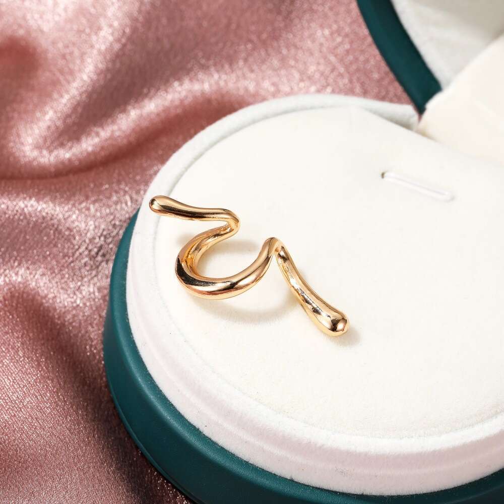 Ins Style Snake-Shaped Clip Without Holes Punk Hip-Hop Personality Spiral Alloy Simple Trendy Ear Accessories