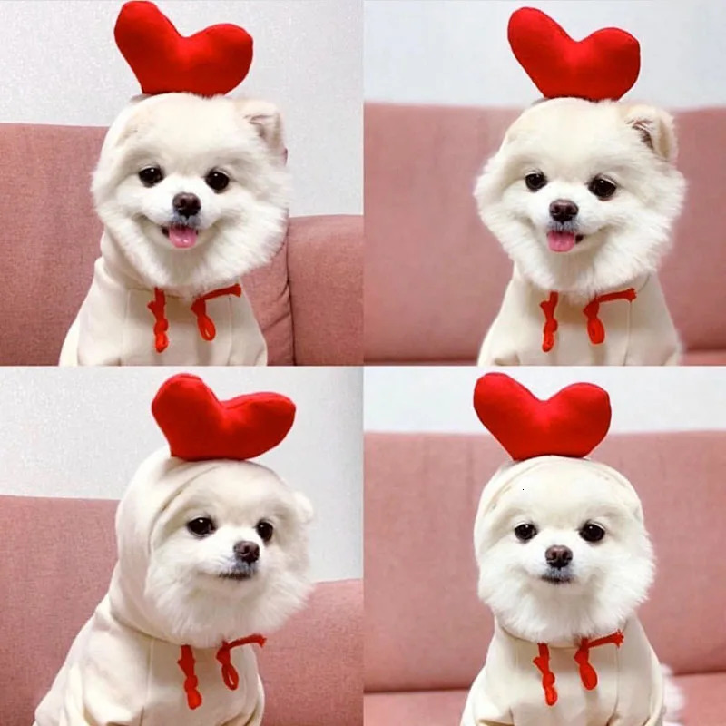 Winter Pet Dog Sweatshirt Small and Medium Dog Casual Clothes Pet Love Two Legs Clothes Warm Cartoon Dog Clothes 250806