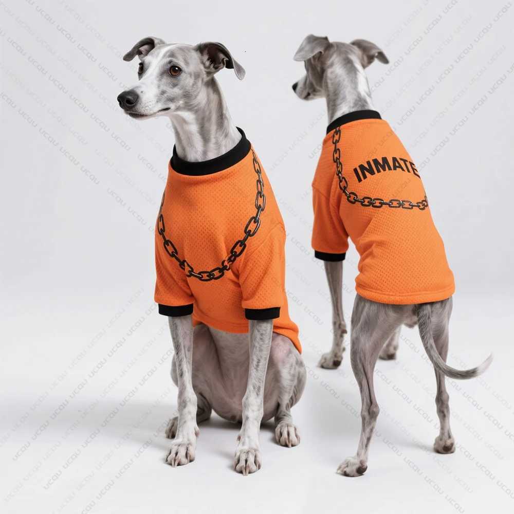 Pet Dog Summer Clothing Short-Sleeved T-Shirt Prison Style Same As Prison Uniform Unique And Funny Outfit Pet Funny Clothing XJ250813