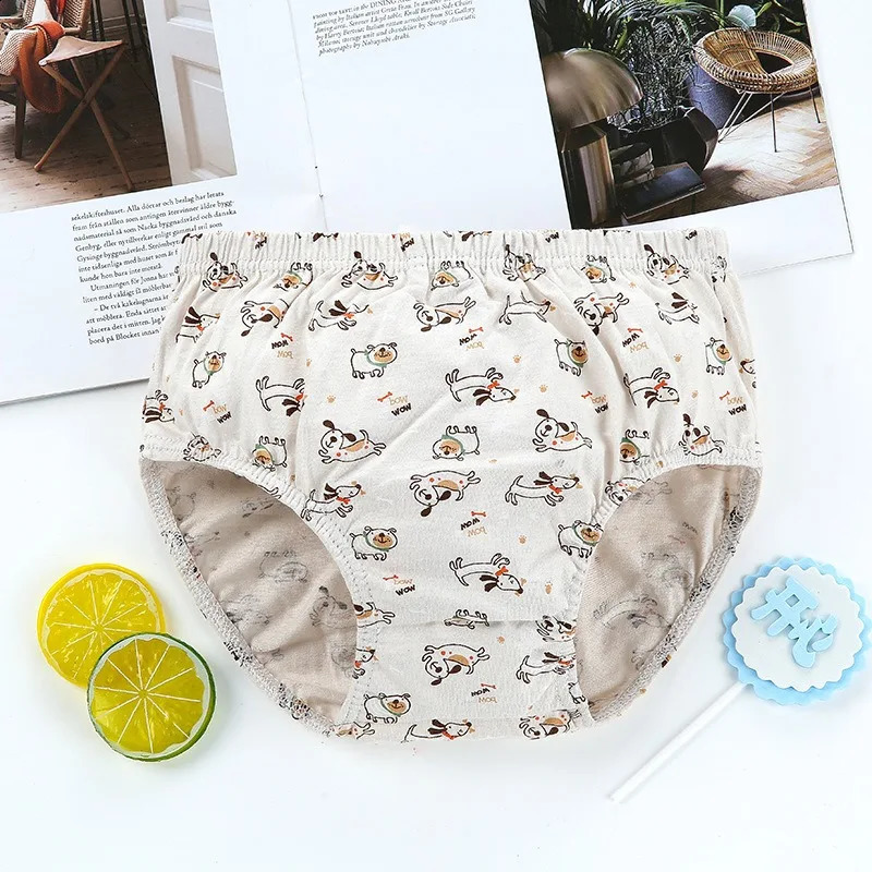 Exquisite Box Packaging 5Piece Boys Triangle Underwear Soft Cotton Breathable Children Briefs For Boy Cartoon Dog Kids Knickers 250812