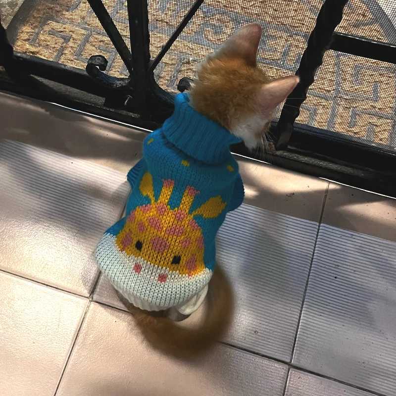 Dog Sweater Winter Knitted Dog Jumpers For Small Large Dogs Designer Cat Chihuahua Warm Clothes For Small Breeds Dogs Christmas XJ250813