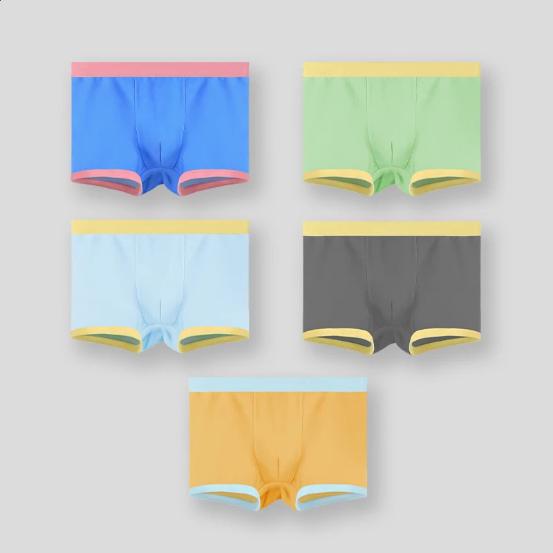 3PC Boys cotton antibacterial briefs Childrens 100% baby boxer shorts Thin little boys boxers 250812