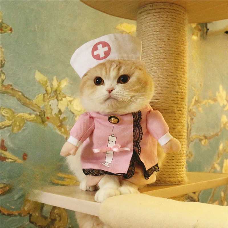 Dog Clothes Funny Transformation Costume for Pets Funny Cat Clothes Dog Costume Pet Transformation Suit Luxury Dog ClothesXJ250813