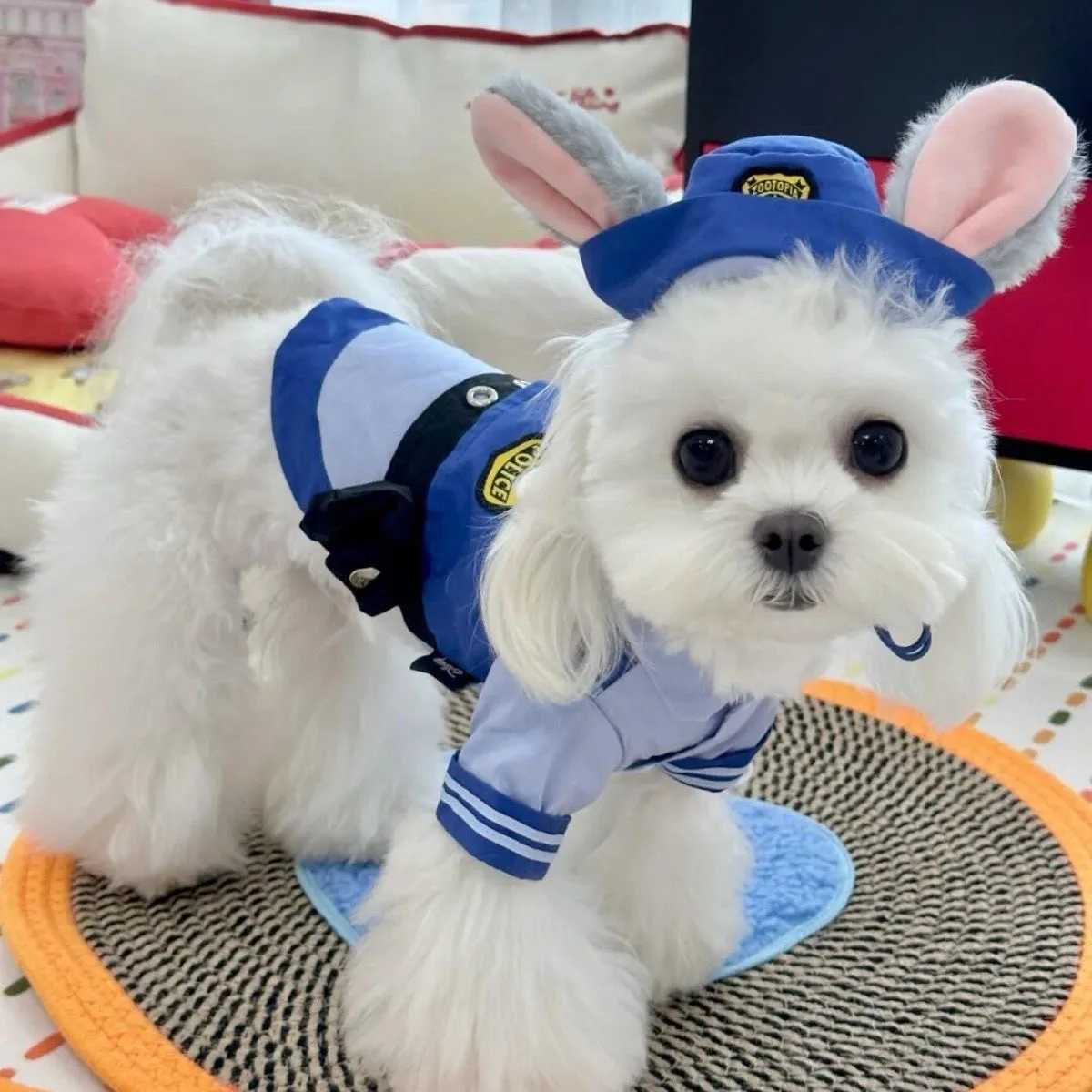 Dog Bunny Police Officer Costume Hat Sets Halloween Funny Cat Cosplay Pet Clothes Kawaii Rabbit Role Play Dog Cat SuppliesXJ250813