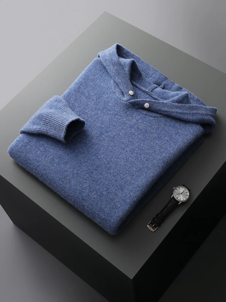 ADDONEE Men Hooded Pullover Cashmere Sweater Autumn Winter 100 Merino Wool Knitwear Smart Casual Korean Fashion Tops 250729