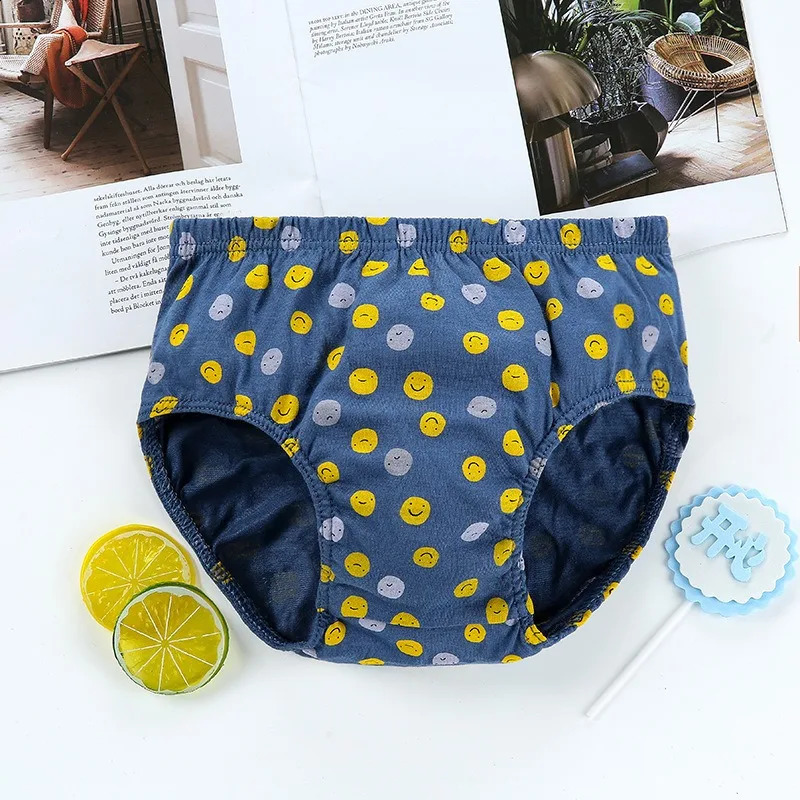 Exquisite Box Packaging 5Piece Boys Triangle Underwear Soft Cotton Breathable Children Briefs For Boy Cartoon Dog Kids Knickers 250812
