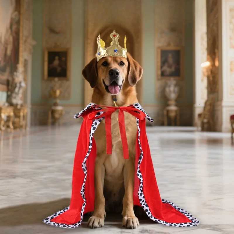 Halloween Dog Party Costumes Funny Dog King Costume for Small Medium Large Dogs Weird Pet Cloak Transformation Suit Holiday Gift XJ250813