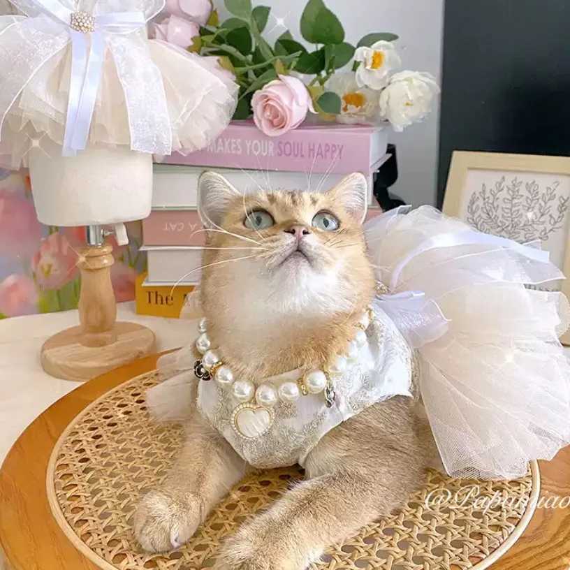 Princess Dog Wedding Dress Cat Tutu Skirt with D-ring Leash Hole Dog Clothes for Small Dogs Chihuahua Poodle XJ250813