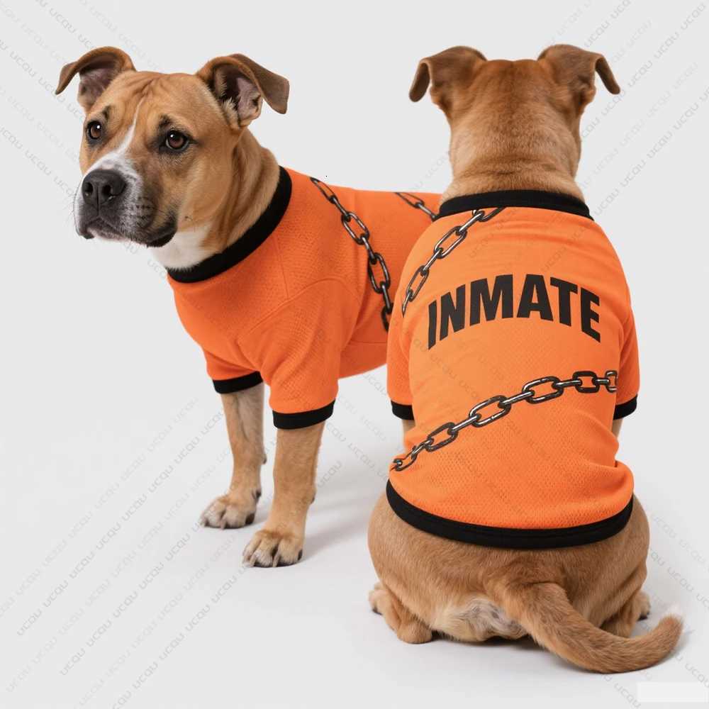 Pet Dog Summer Clothing Short-Sleeved T-Shirt Prison Style Same As Prison Uniform Unique And Funny Outfit Pet Funny Clothing XJ250813