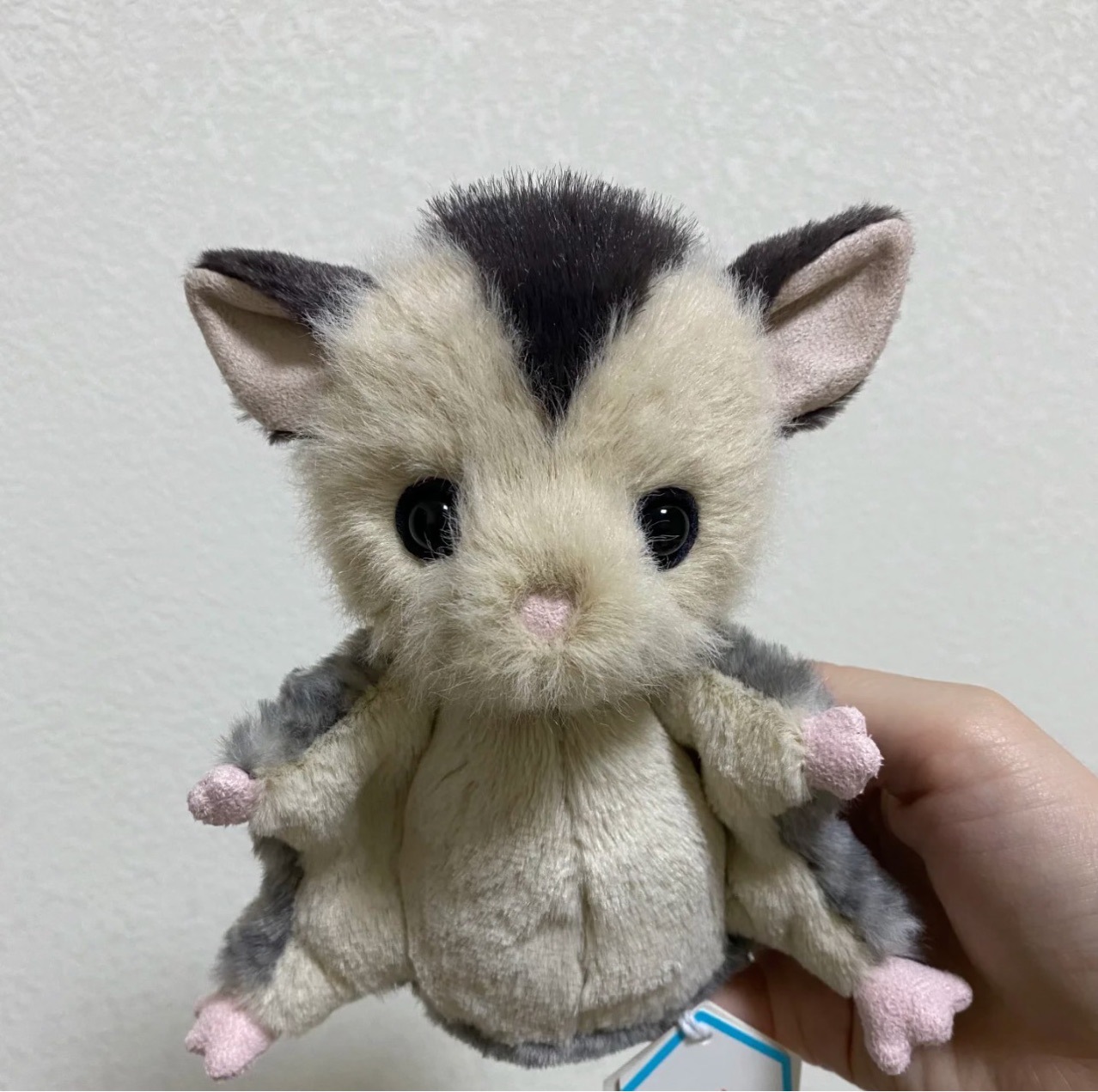 Dolls jellys Cat Lolly Sugar Glider Plush Children's plush toys flying squirrel Soft Toy sugar glider body pillow Soothing the Doll Gifts Y260128