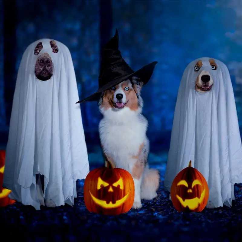 Dog Cosplay Costume Halloween Ghost Dog Costume Horror Dog Cosplay Costume Ghost Spooky Soft Pet Clothing XJ250813