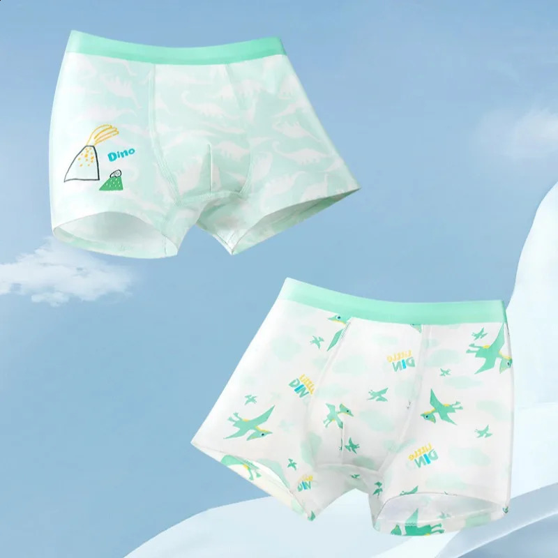 4PCS Kids Cotton Soft Antibacterial Panties for Teens Boy Cute Print Briefs Thin Breathable Underwear 3y Young Children Clothes 250812