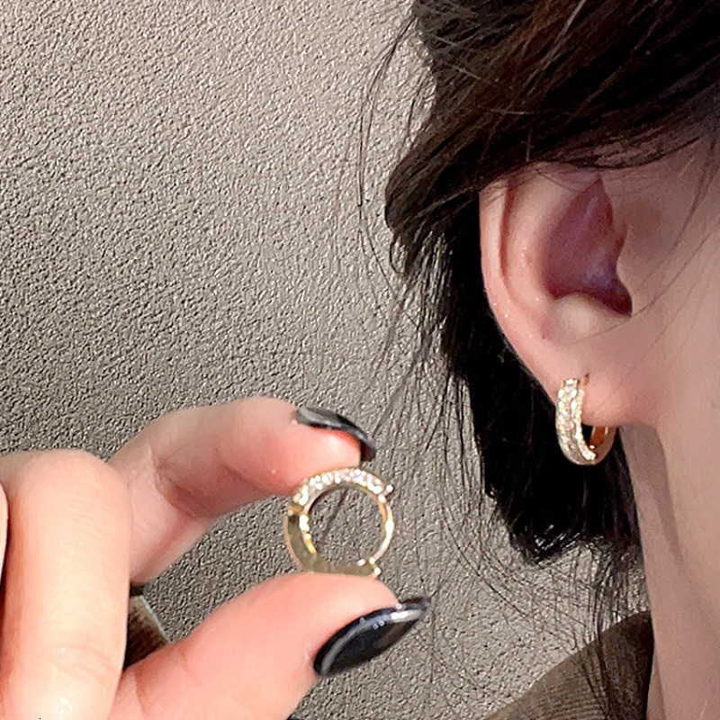 Fashion Stainless Steel Small Hoop Earrings For Women Punk Crystal Zirconia Cartilage Earrings Ear Buckle Jewelry 250812