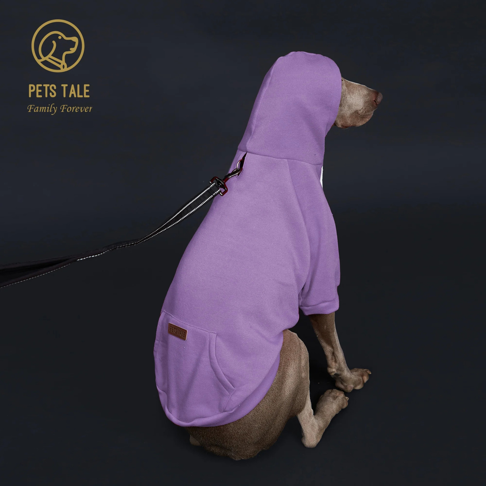 Solid Color Dog Hoodie with Pocket Leather Patch Hook and Loop Fastener Collar - Available in 5 Colors 250806