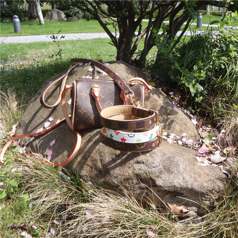 Jinjite New Pet Large Pai Old Flower Style Classic Dog Collar Leash Set