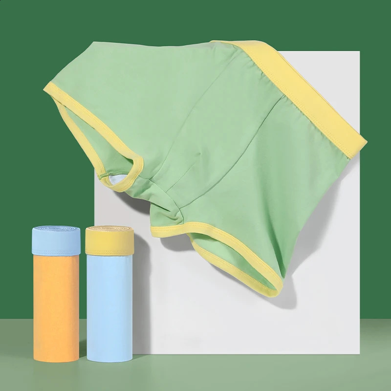 3PC Boys cotton antibacterial briefs Childrens 100% baby boxer shorts Thin little boys boxers 250812