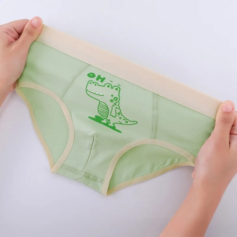 4PCS Kids Cotton Soft Antibacterial Briefs for Boy Thin Breathable Comfort Panties Cute Print Knickers 3y Young Child Underwear 250812