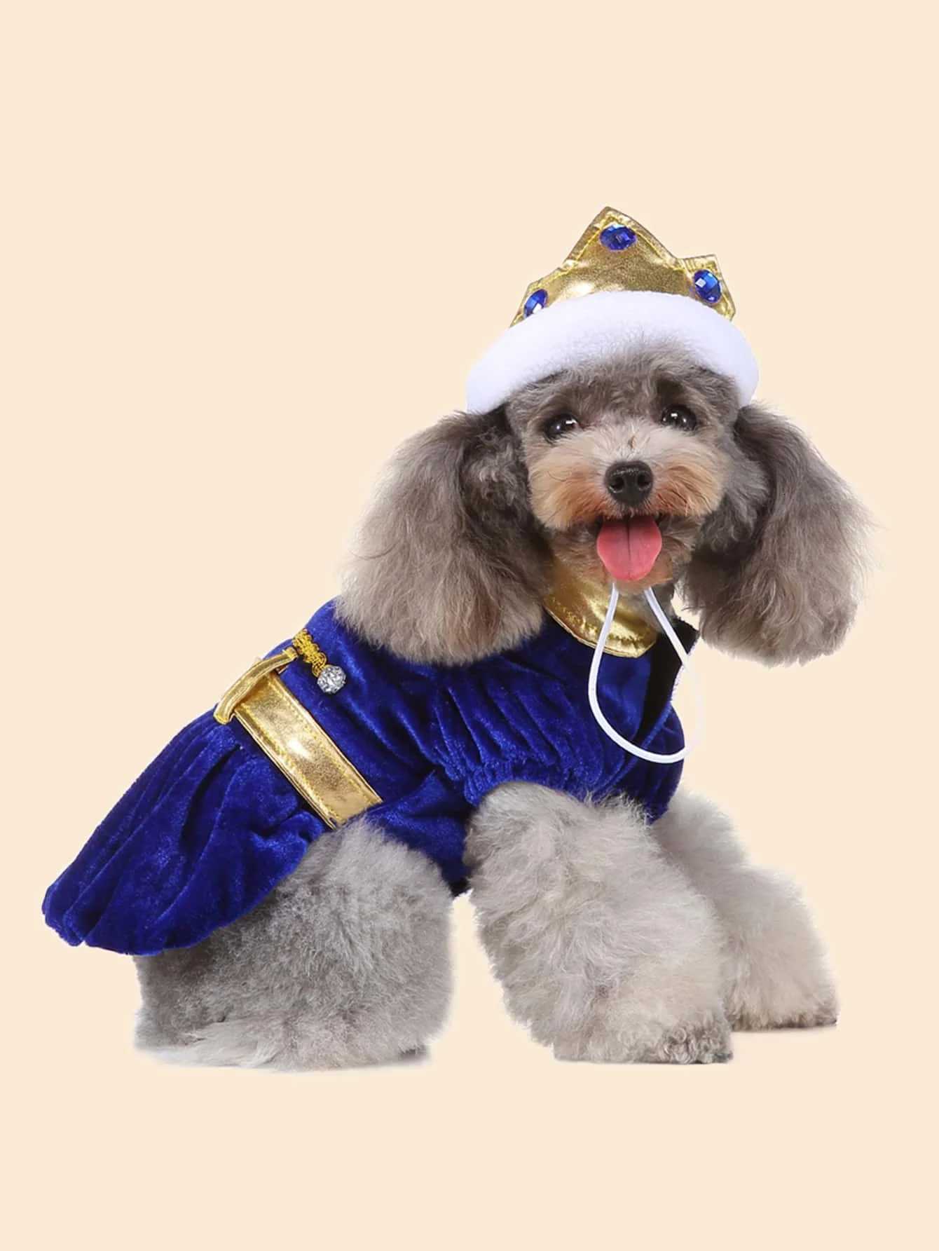 Clothes for Dog Costume Christmas Pet Dog Clothes Winter Hoodie Coat Pet Clothing/Dress Pet XJ250813