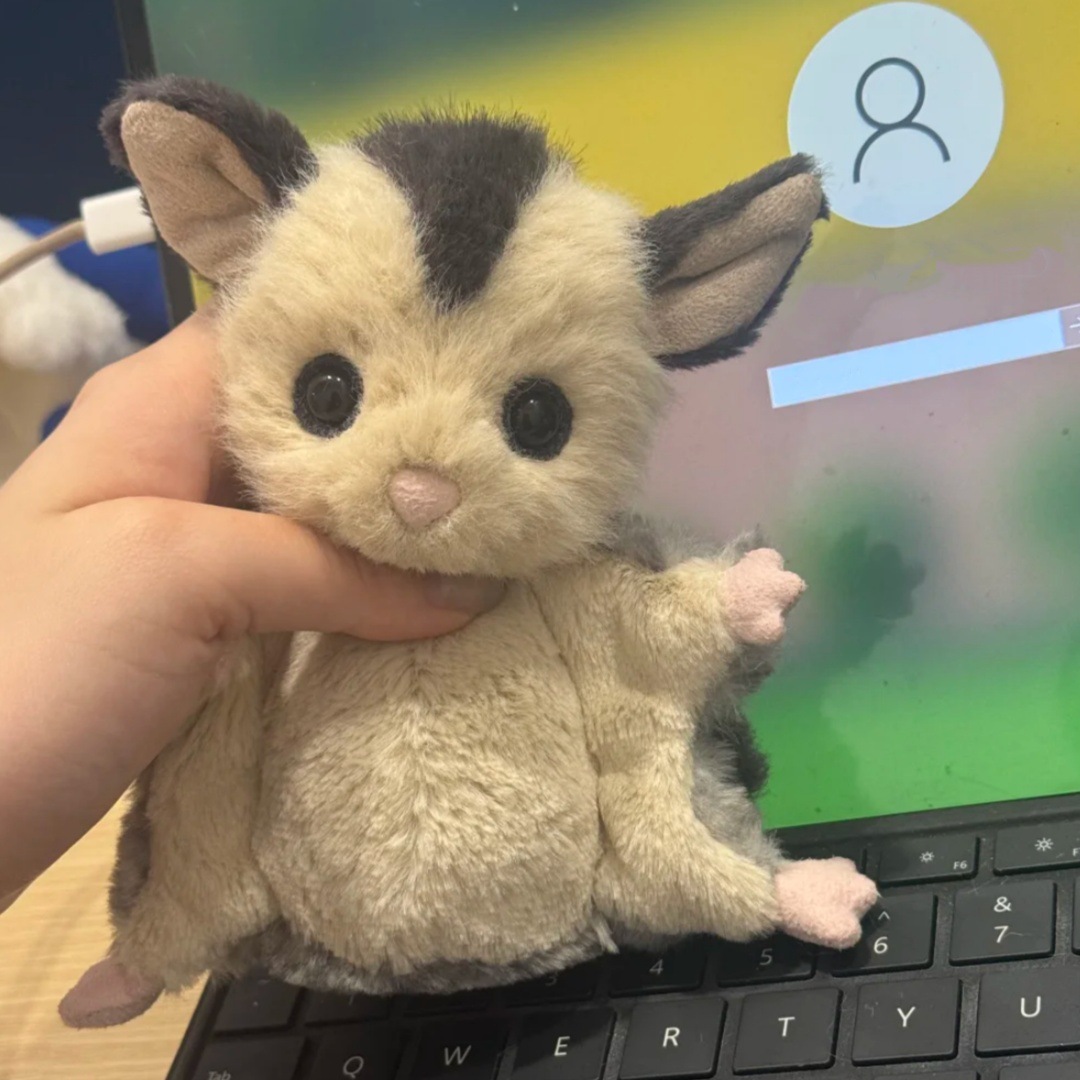 Dolls jellys Cat Lolly Sugar Glider Plush Children's plush toys 2 flying squirrel Soft Toy sugar glider body pillow Soothing the Doll Giftsfashion accessories