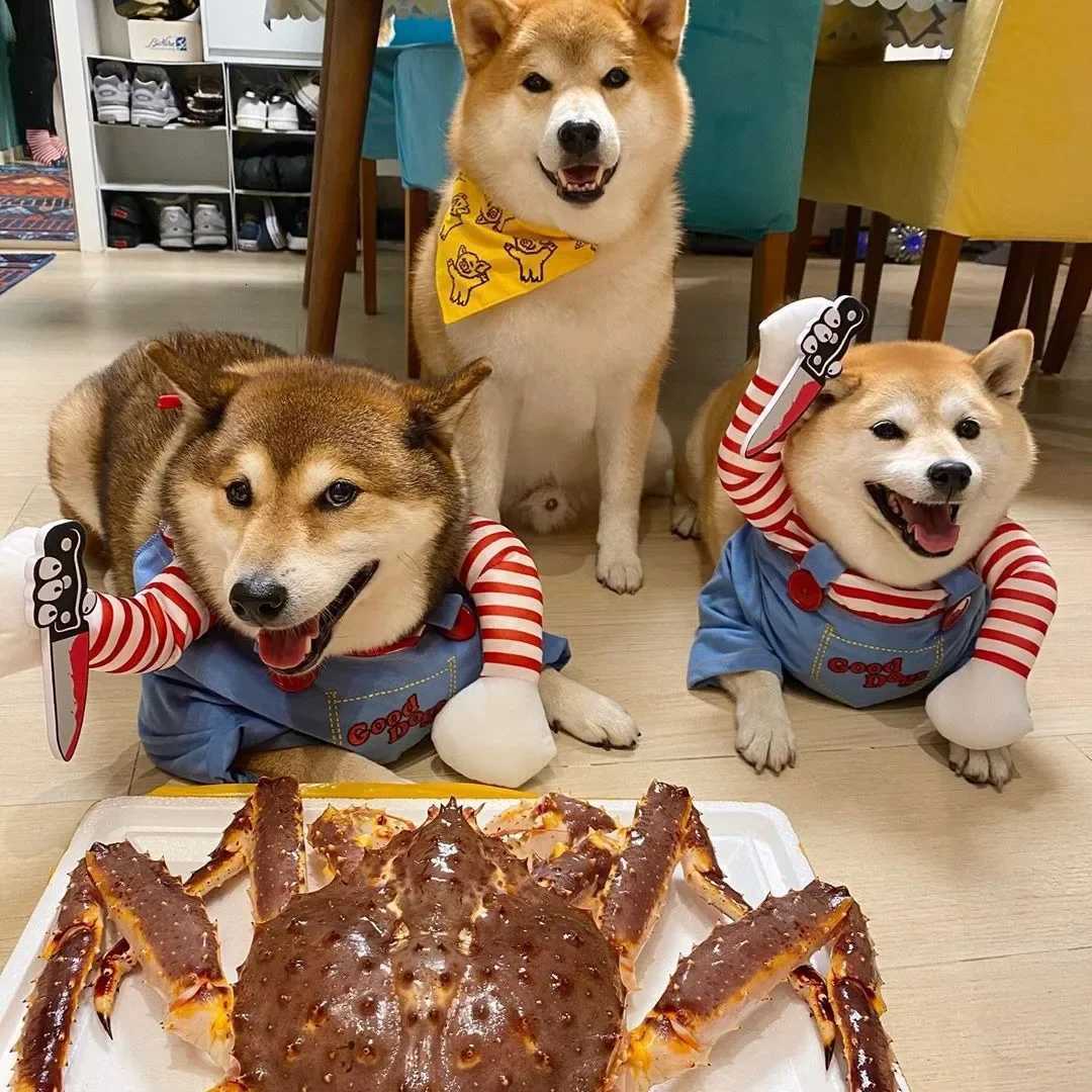 Sweatshirt Set Cosplay Chucky Pet Party Fashion Funny Dog Horror Movie Clothing Costume Comical Outfits Halloween Dress Jumpsuit XJ250813