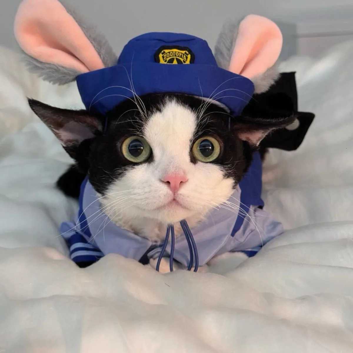 Dog Bunny Police Officer Costume Hat Sets Halloween Funny Cat Cosplay Pet Clothes Kawaii Rabbit Role Play Dog Cat SuppliesXJ250813
