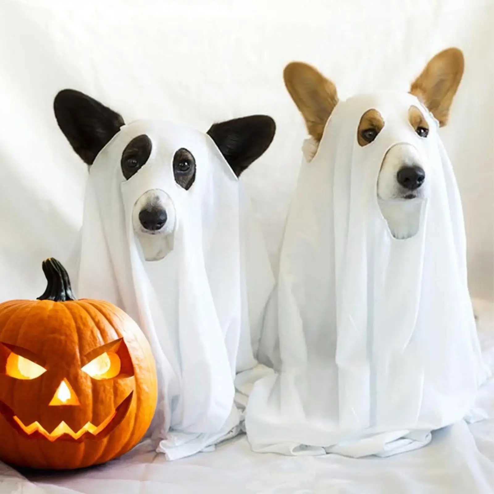 White Dog Halloween Costume Halloween Ghost Pet Cloak Spooky Soft Pet Clothes Breathable Dog Costume for Outdoor Walks Photo XJ250813