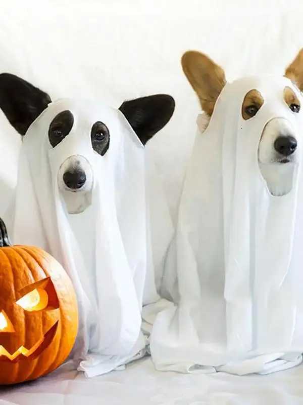 Dog Cosplay Costume Halloween Ghost Pet Cloak Ghost Pet Decorative Supplies Soft Pet Clothes For Pranks Halloween Props XJ250813