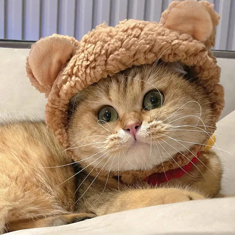 Cute Bear Shaped Hat For Cat Christmas Protective Pet Dogs Cosplay Head Wear Winter Warm Costume Accessories Cat Supplies 250813