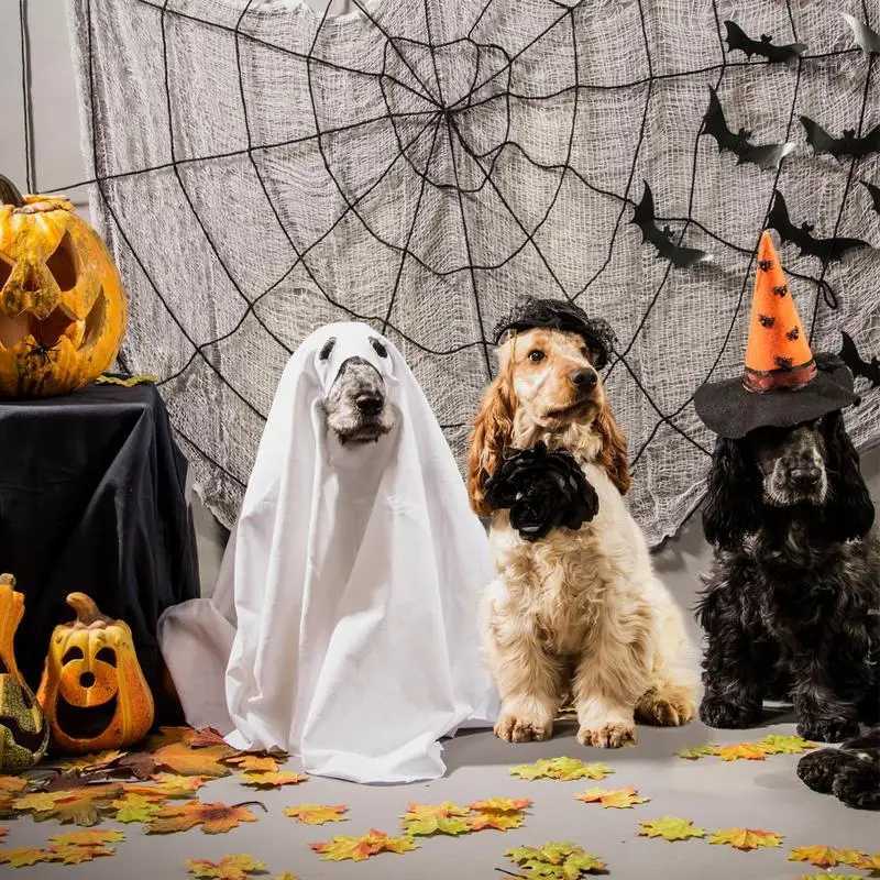 Halloween Ghost Pet Cloak Dog Cosplay Costume Spooky Soft Pet Clothing Breathable Dog Cosplay Costume For Pranks Halloween PropsXJ250813