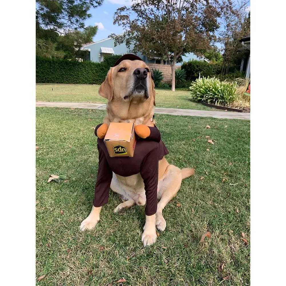 Funny Dress Up Outfits Set With Hat Pet Supplies For Medium Large Dogs Pet Halloween Ups Costumes Pet Halloween Ups Costumes XJ250813