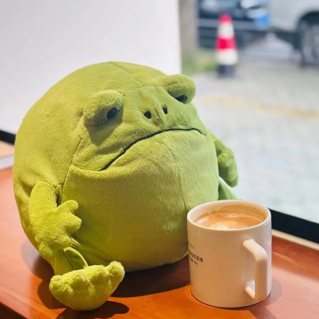 new Dolls jellys Cat Rain Frog Plush Children's plush toys frog Soft Toy big belly rainfrog body pillow Soothing the Doll Gifts321 Y260128