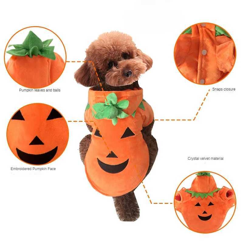 Pet Halloween Pumpkin Clothes Funny Pumpkin Transformation Clothes Small Dog Clothes XJ250813