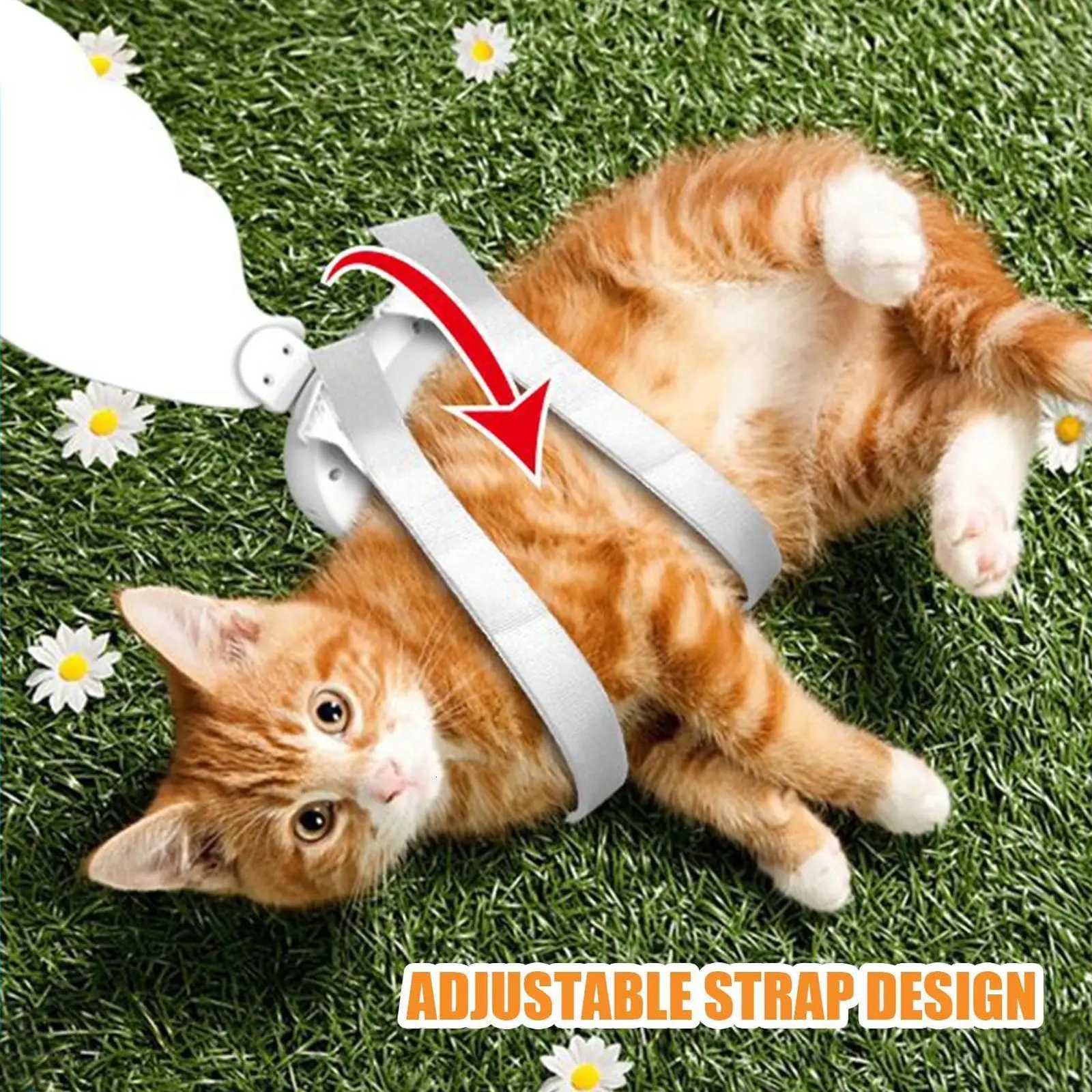 Dog Wings Pet Halloween Costume Accessory Electric Lightweight Butterfly Wing for Dogs Cats Birthday Cosplay Wedding Parade XJ250813