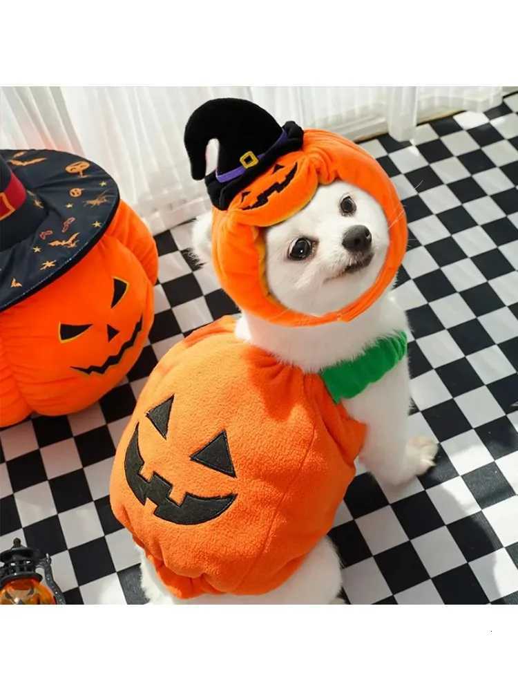 Dog Clothing Halloween Clothes Suit Outfit Costumes Outfits Pet Costume Puppy Chihuahua Dogs Costume Accessories Supplies Home XJ250813