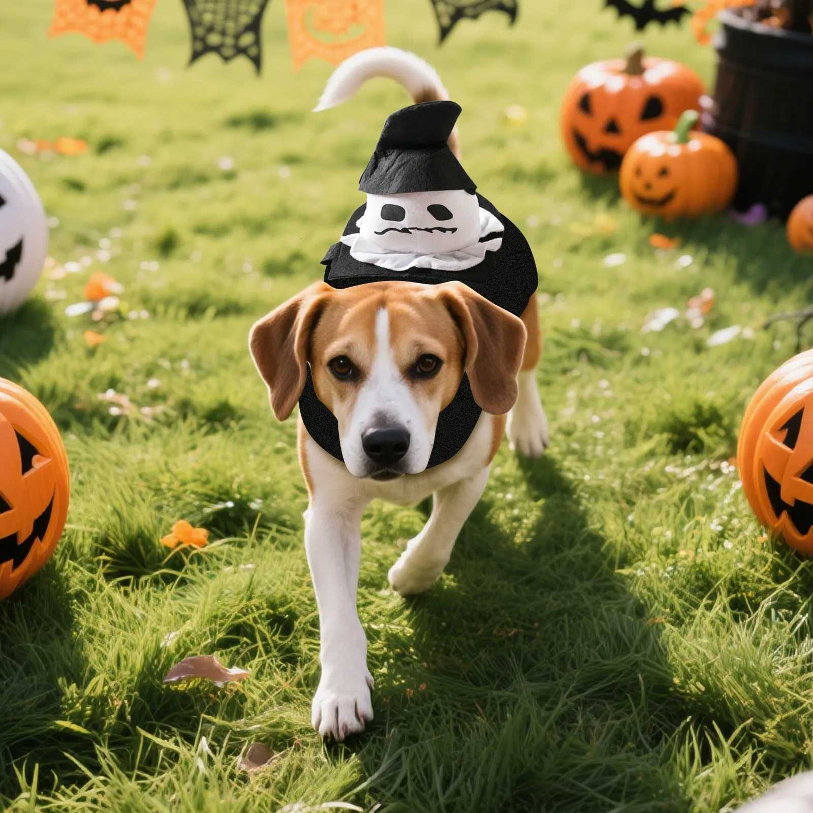 Halloween Funny Pumpkin Pet Clothes Dog Cat Cosplay Costumes Prop Creative Theme Party Festival Atmosphere Decoration Outfits XJ250813
