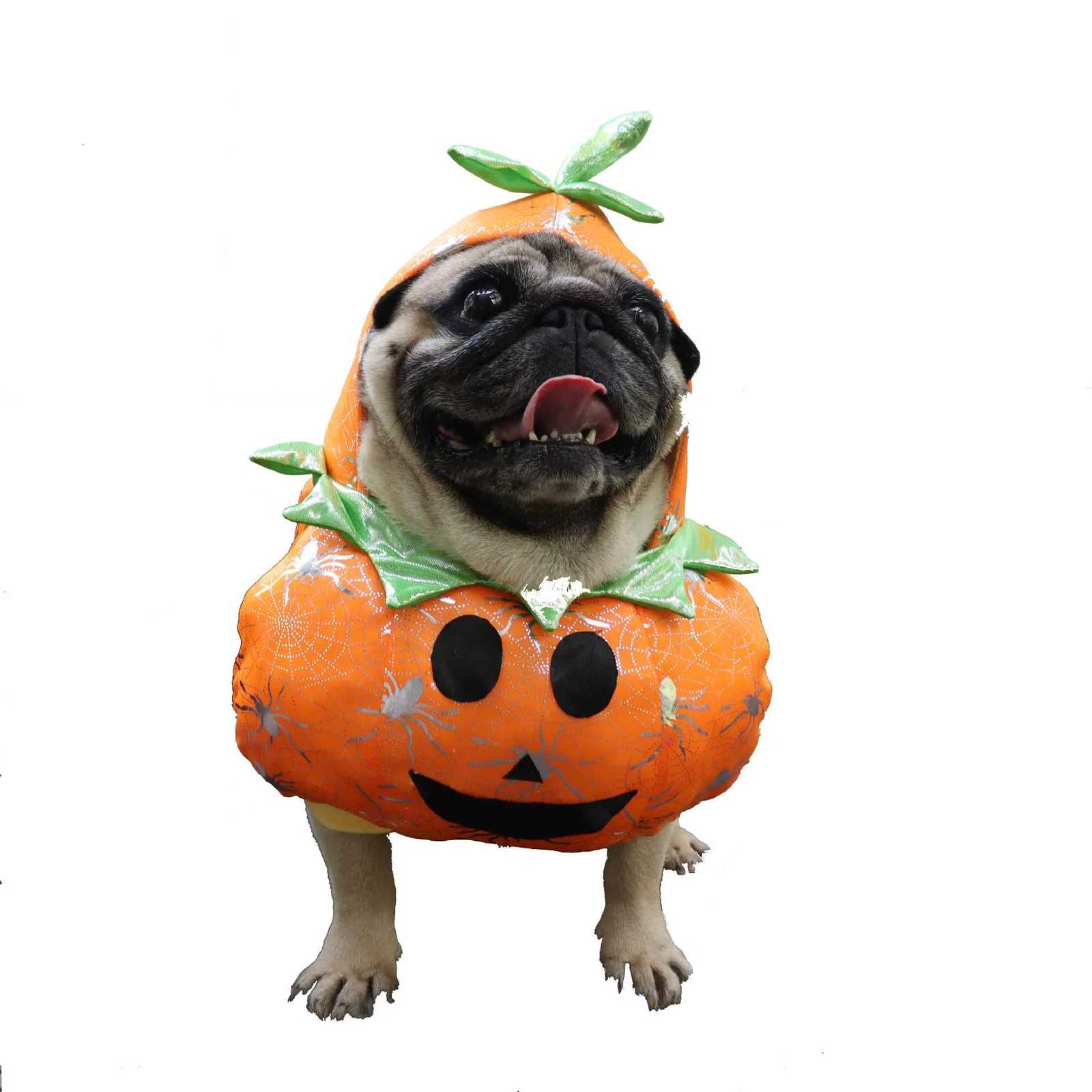 Funny Pumpkin Pet Costume for Cat Dog Clothes Halloween Dress Up Pumpkin Cosplay Outfit Halloween Cat Accessories for Dog HoodieXJ250813