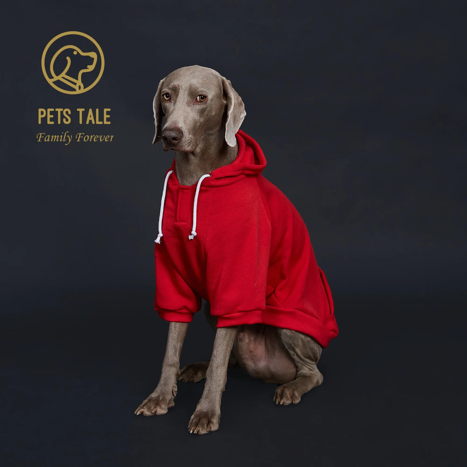 Solid Color Dog Hoodie with Pocket Leather Patch Hook and Loop Fastener Collar - Available in 5 Colors 250806