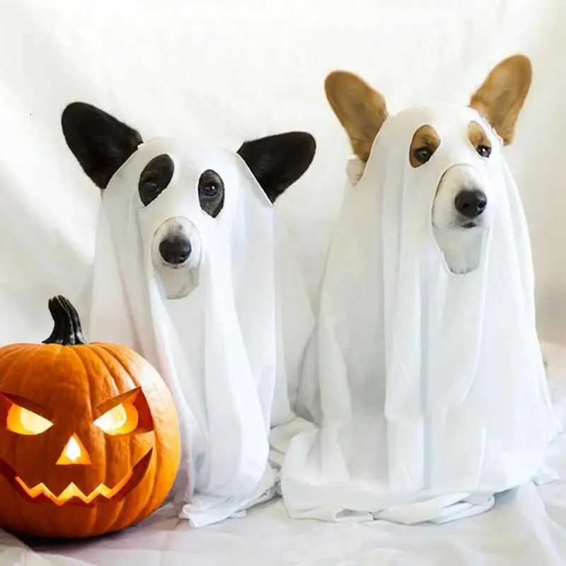 Dog Cosplay Costume Halloween Ghost Pet Cloak Spooky Soft Pet Clothes Breathable Dog Costume for Pranks Halloween Props XJ250813