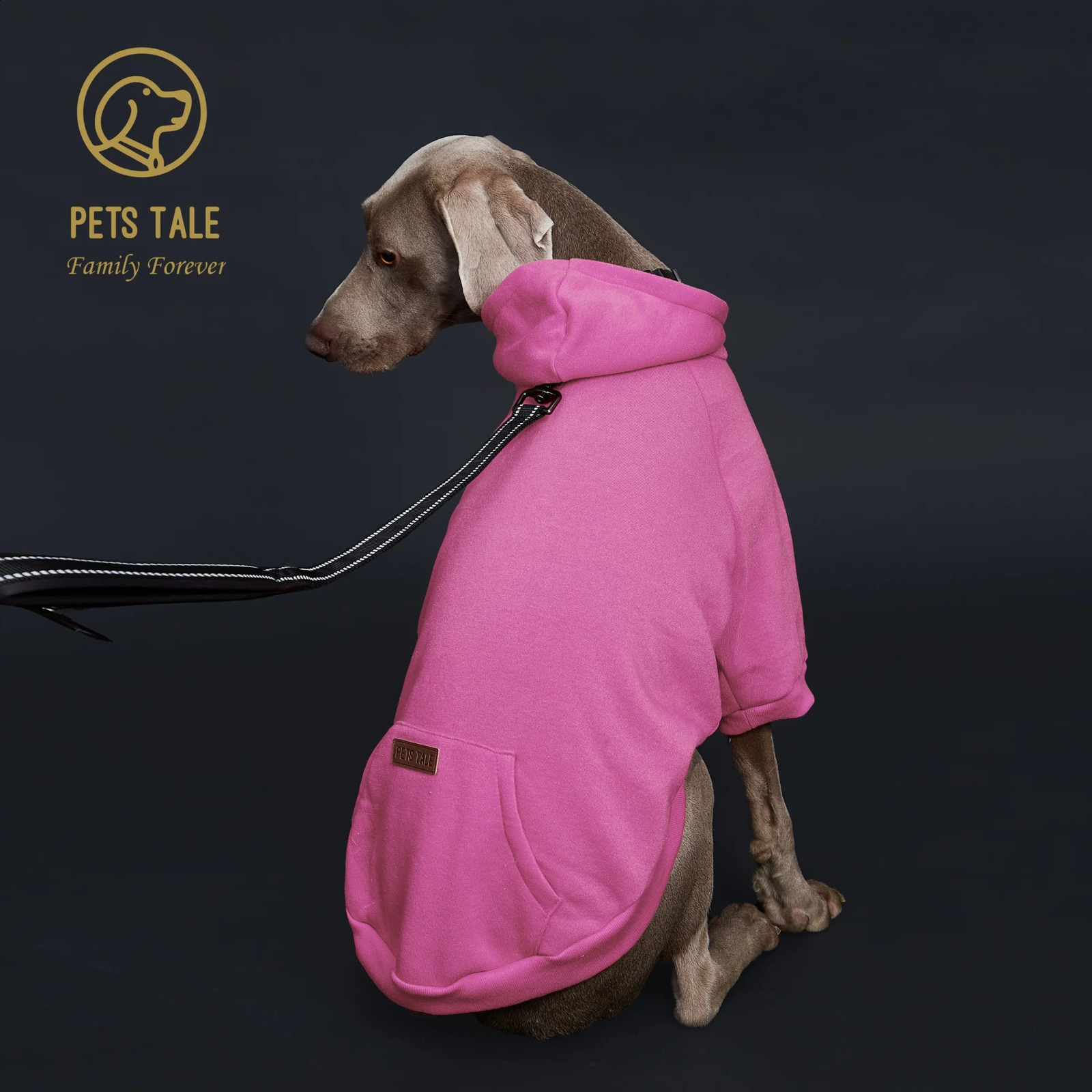 Solid Color Dog Hoodie with Pocket Leather Patch Hook and Loop Fastener Collar - Available in 5 Colors 250806