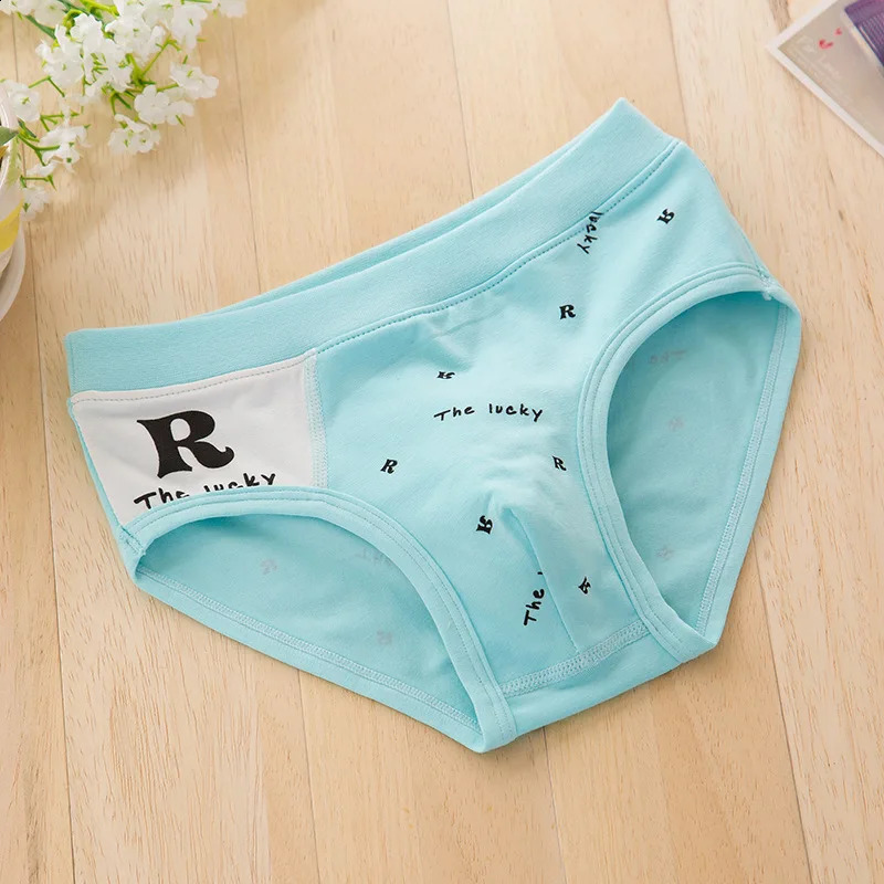 2Pieces Lot Boys Briefs Kids Underwear Organic Cotton Shorts Children Panties 212Years 250812