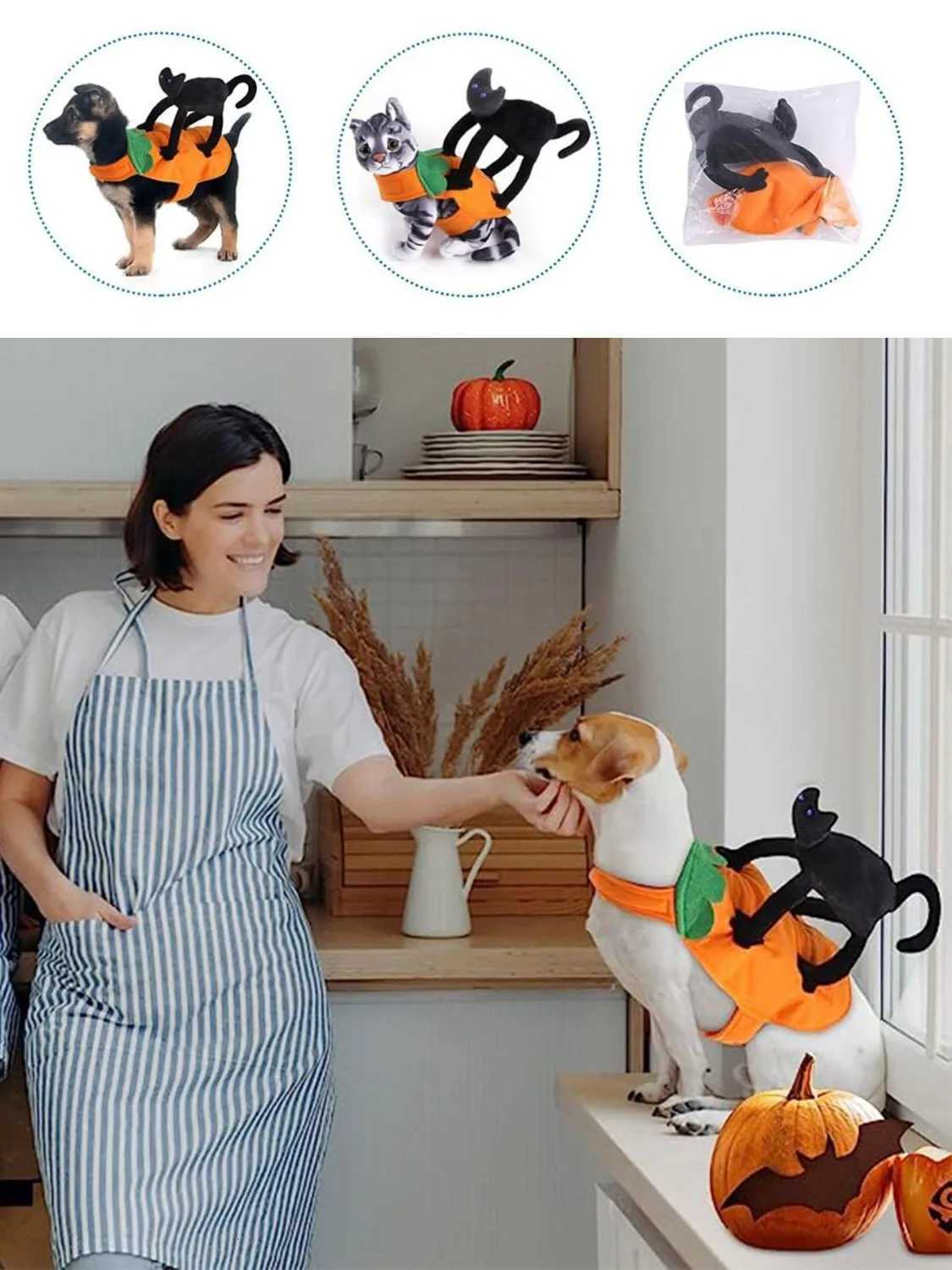 Halloween Pet Costume Pumpkin Black Cat Costumes for Dogs Pets Party Cosplay Clothing Halloween Costume for Small to Large DogsXJ250813