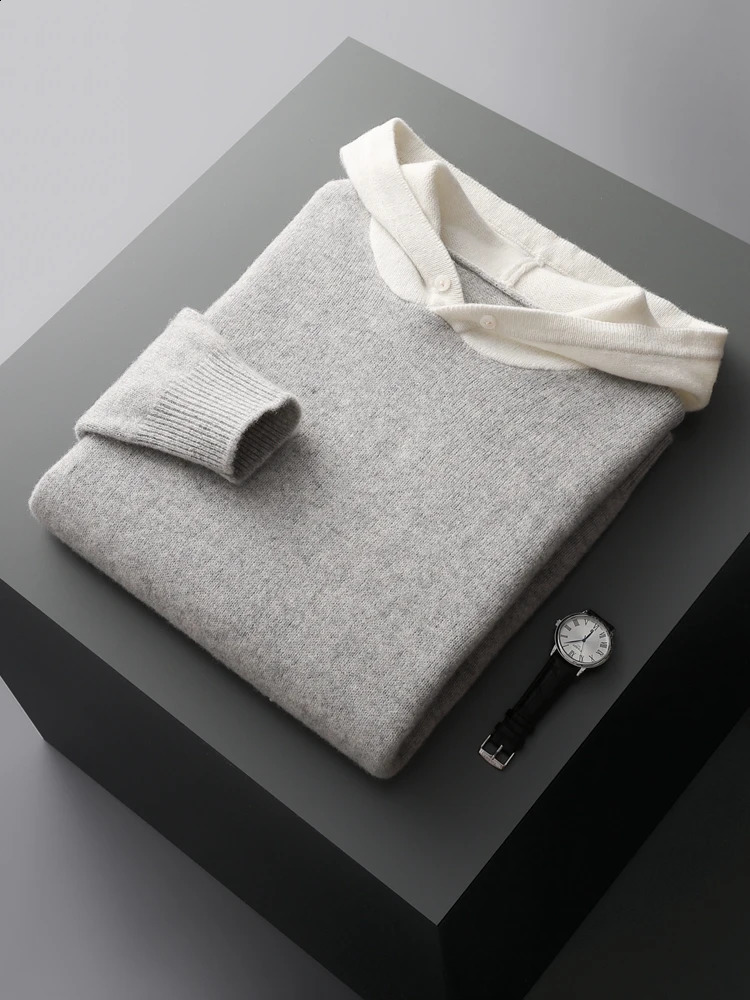 ADDONEE Men Hooded Pullover Cashmere Sweater Autumn Winter 100 Merino Wool Knitwear Smart Casual Korean Fashion Tops 250729