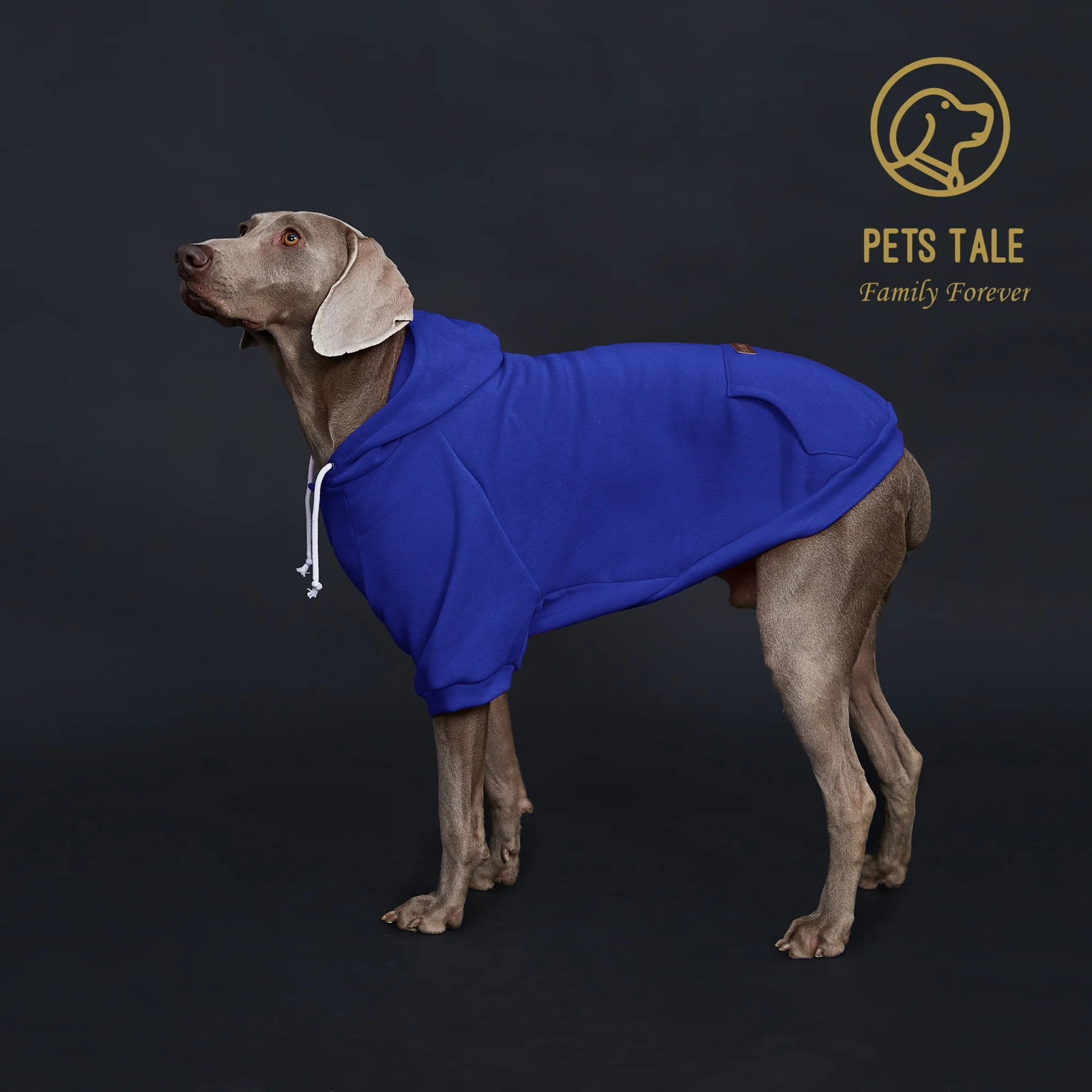Solid Color Dog Hoodie with Pocket Leather Patch Hook and Loop Fastener Collar - Available in 5 Colors 250806