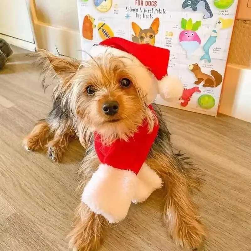 Christmas Dog Santa Hat With Scarf Pet Santa Scarf For Christmas Pet Dogs Cats Dressing Up Supplies Christmas Dog Costumes Pet XJ250813