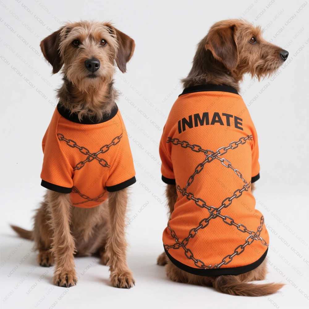 Pet Dog Summer Clothing Short-Sleeved T-Shirt Prison Style Same As Prison Uniform Unique And Funny Outfit Pet Funny Clothing XJ250813