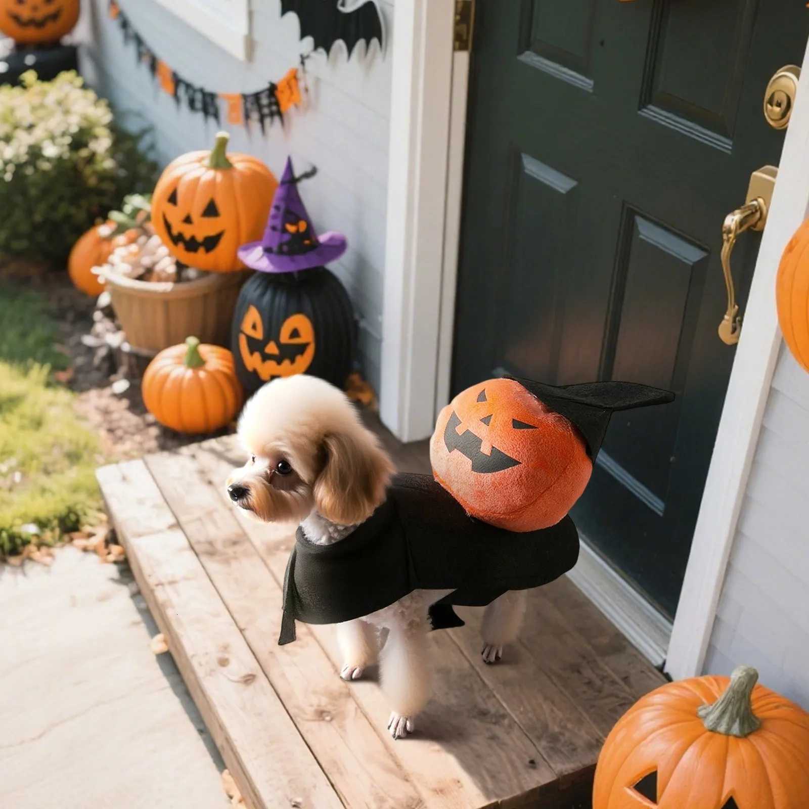 Halloween Funny Pumpkin Pet Clothes Dog Cat Cosplay Costumes Prop Creative Theme Party Festival Atmosphere Decoration Outfits XJ250813