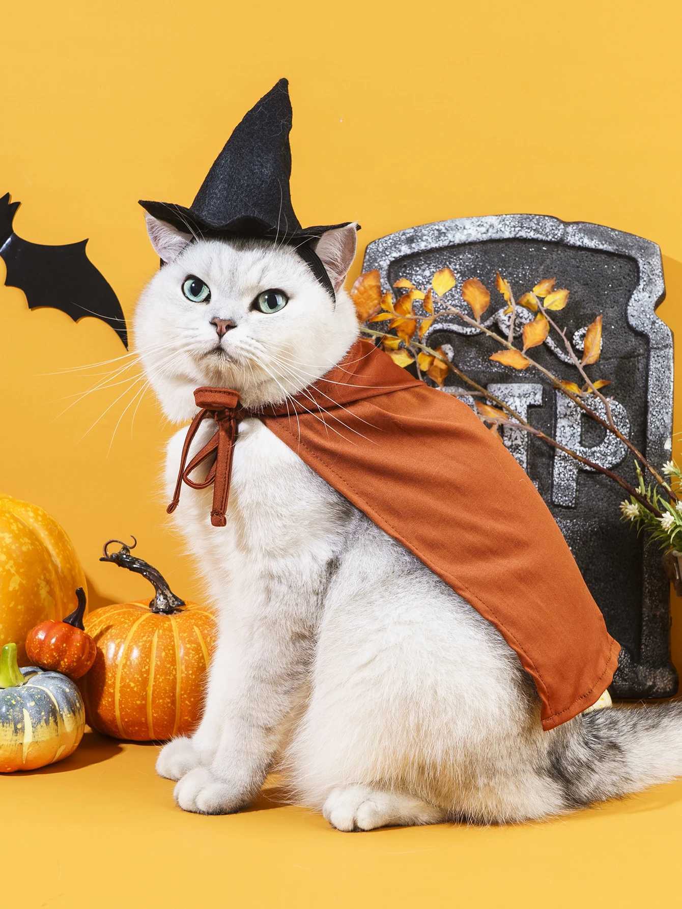 Pet Halloween Costumes Dog Witch Cloak Cape Wizard Hat Halloween Costumes for Small Dogs and Cats XJ250813